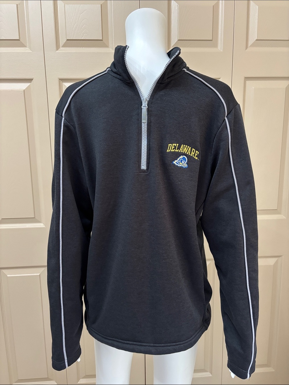 DELAWARE Champion 1/4 zip sweatshirt